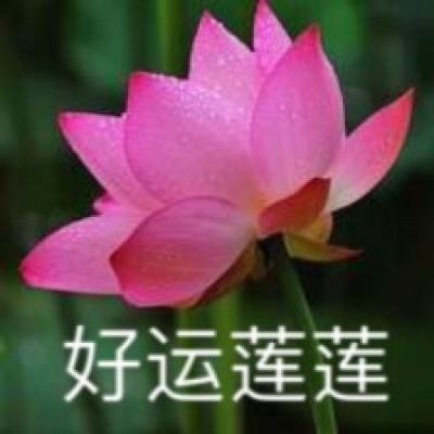 乱舞乾坤满v版下载